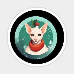 Oriental Shorthair Cat Xmas, Love Cat Magnet